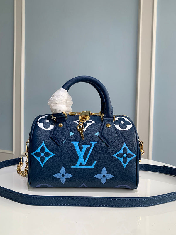 Alice bags - Louis Vuittons - 15163