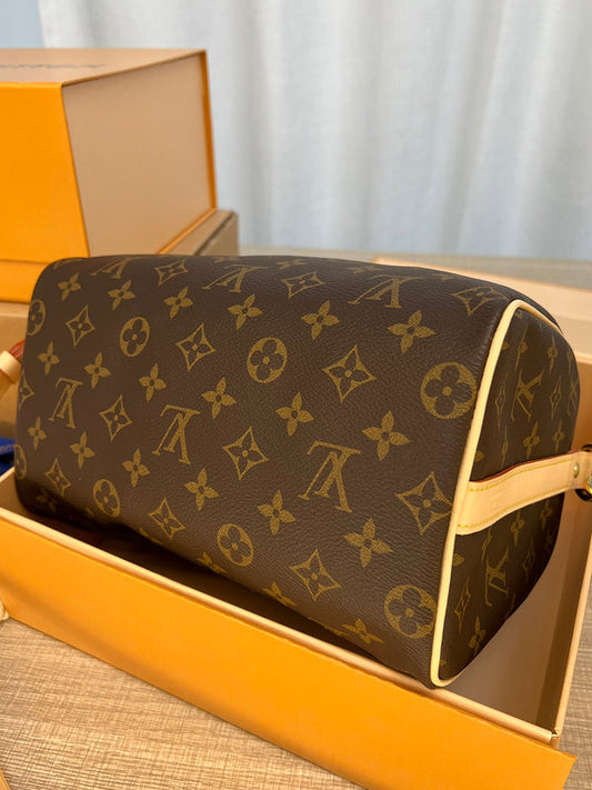 Alice bags- Louis Vuittons - 16780