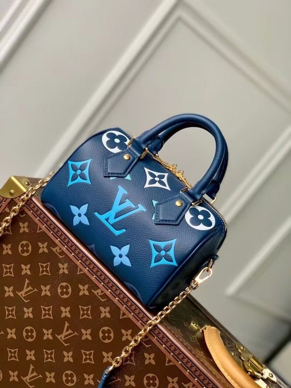 Alice bags - Louis Vuittons - 15364
