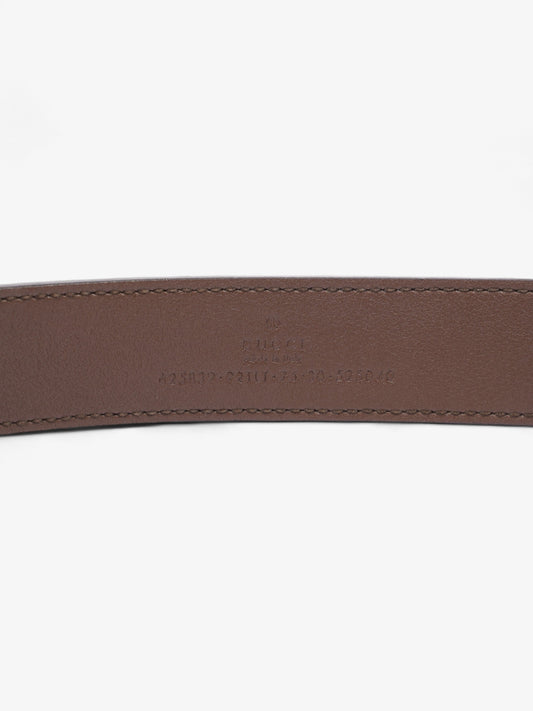 Gucci GG Marmont Thin Belt GG Supreme / Brown Leather 75cm / 30"