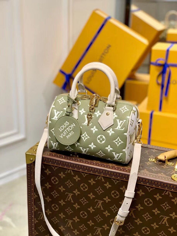 Alice Bags- Louis Vuittons  - 16563