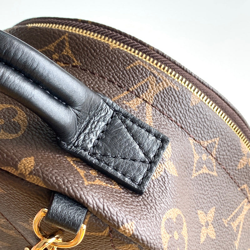 Alice bags - Louis Vuittons  - 15358