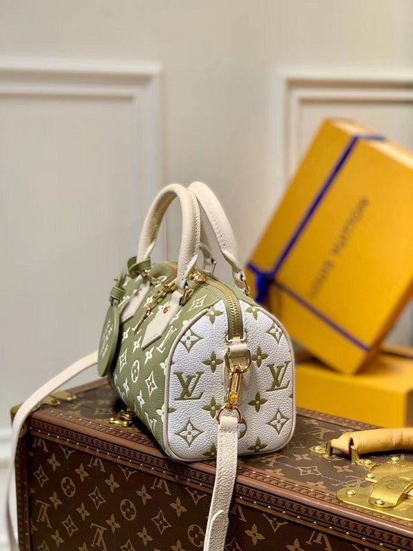 Alice Bags- Louis Vuittons  - 16563