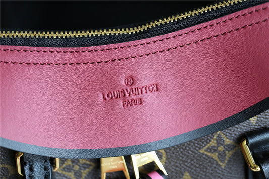 Alice bags - Louis Vuittons  - 7965