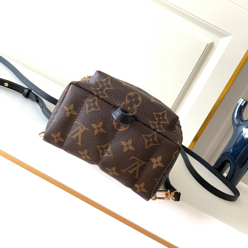Alice Bags- Louis Vuittons  - 16303