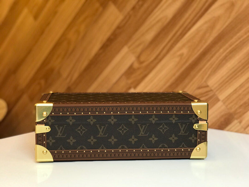 Alice Bags- Louis Vuittons  - 15998