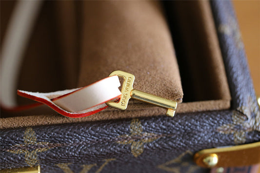 Alice bags - Louis Vuittons  - 9551