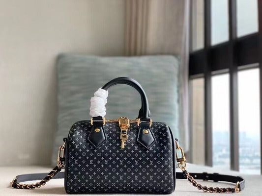Alice bags - Louis Vuittons  - 15680