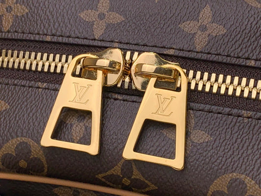 Alice Bags- Louis Vuittons  - 16373