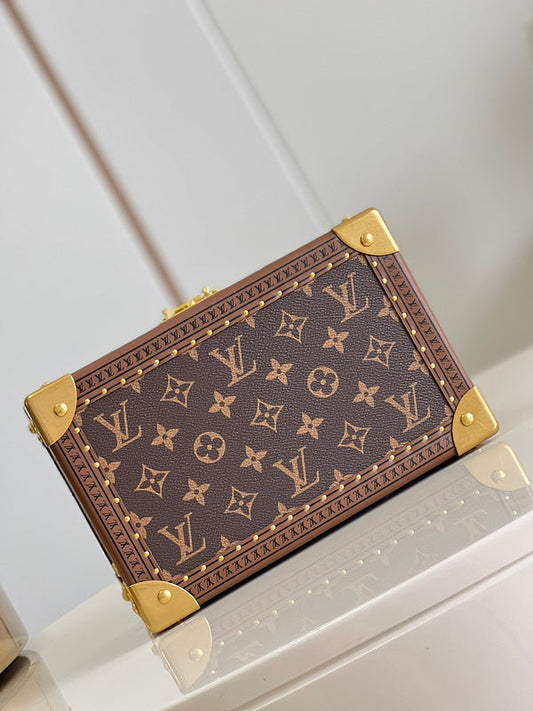 Alice Bags- Louis Vuittons  - 16224