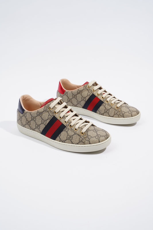 Gucci Ace Sneaker GG Supreme EU 36.5 / UK 3.5