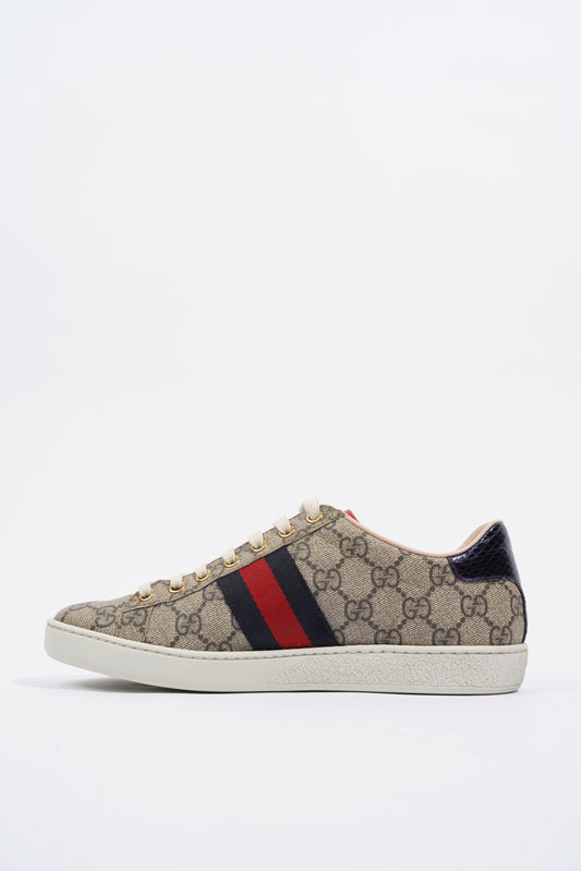 Gucci Ace Sneaker GG Supreme EU 36.5 / UK 3.5