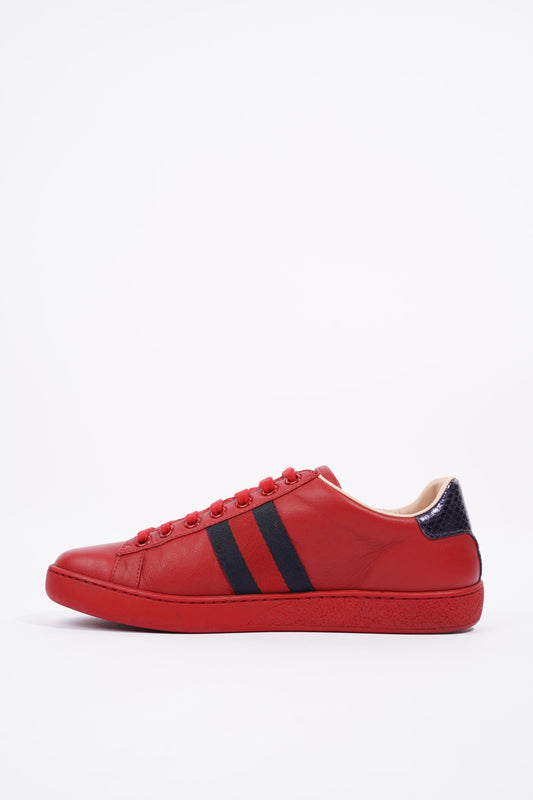 Gucci Ace Low Red / Blue Tab EU 36 / UK 3