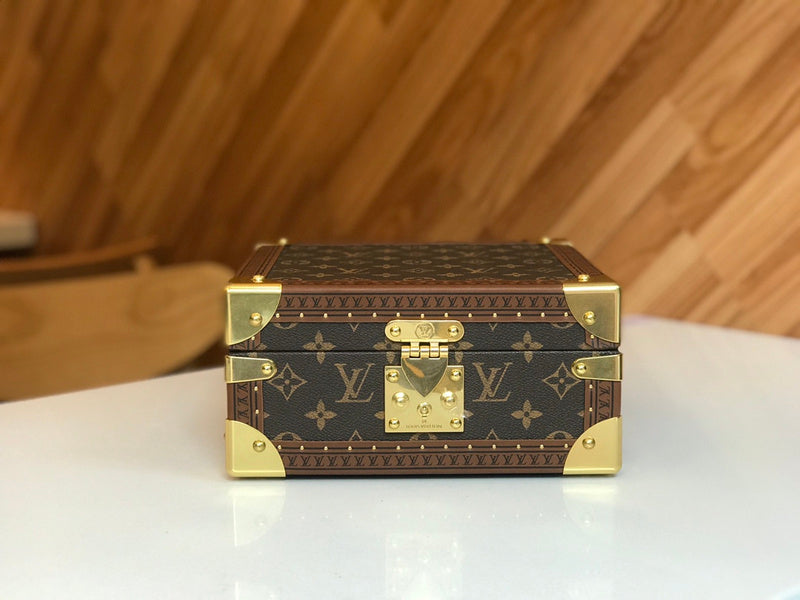 Alice Bags- Louis Vuittons  - 16208