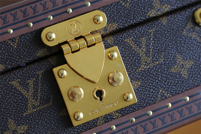 Alice bags - Louis Vuittons  - 9551