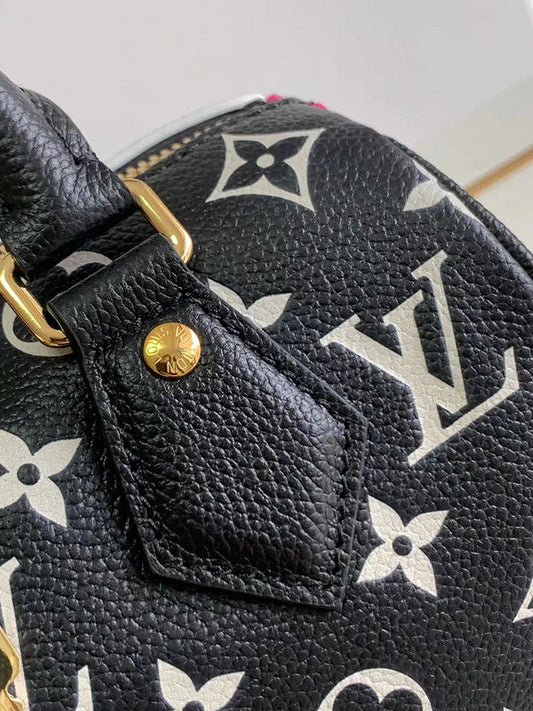 Alice bags- Louis Vuittons  - 16774