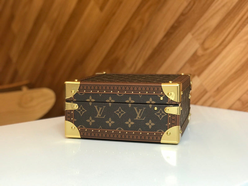 Alice Bags- Louis Vuittons  - 16207