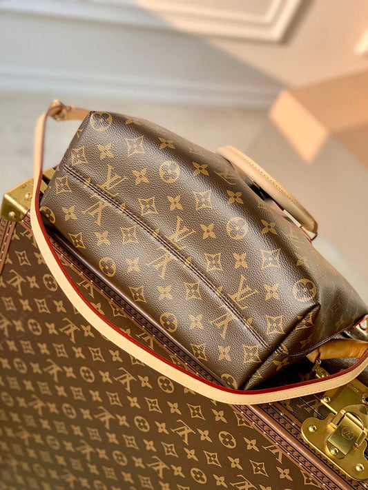 Alice Bags- Louis Vuittons  - 16599